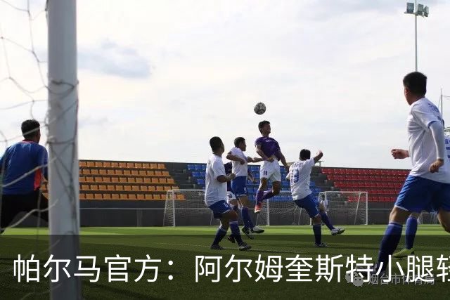 帕尔马官方：阿尔姆奎斯特小腿轻伤，缺战国米